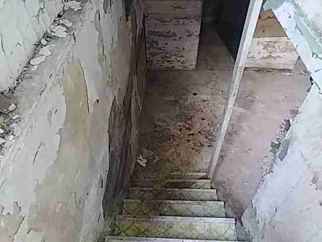 Testing again(54).jpg